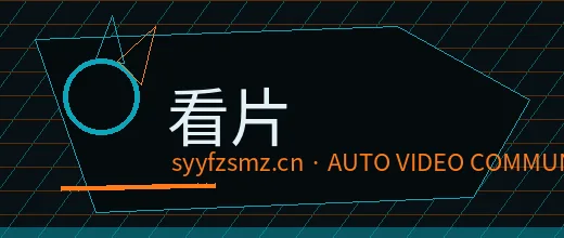 看片